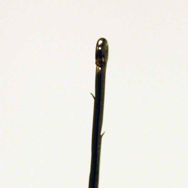 Sasame F-955 Worm (Baitholder) Black Nickel NS